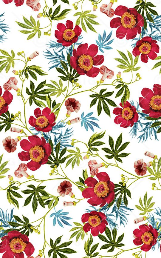 植物印花华亿平台图片