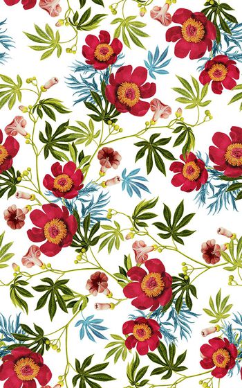 558240-数码时尚清新植物花卉组合展示图