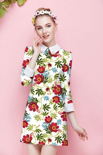 558244-数码时尚清新植物花卉组合展示图