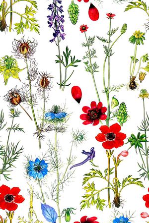 植物印花华亿平台图片