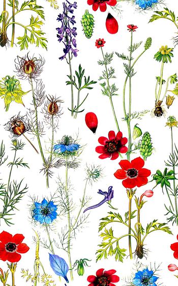 558283-时尚清新植物花卉组合