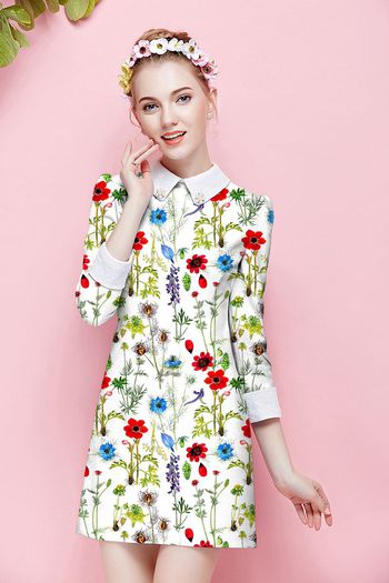 558289-时尚清新植物花卉组合