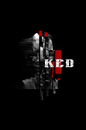 Philipp plein印花华亿平台图片