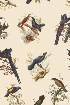 鸟印花华亿平台图片