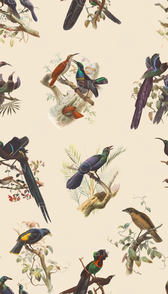 鸟印花华亿平台图片