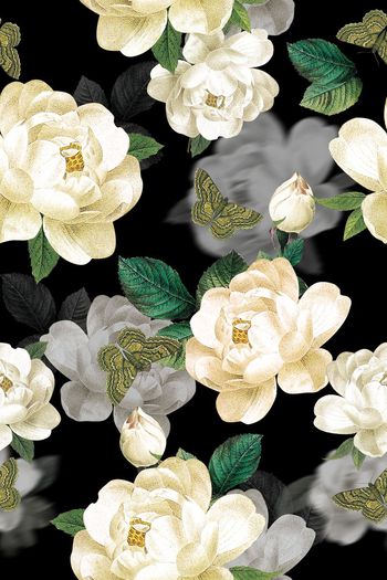 558431-复古油画 装饰画 花卉 昆虫蝴蝶 