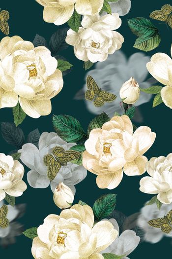 558432-复古油画 装饰画 花卉 昆虫蝴蝶 