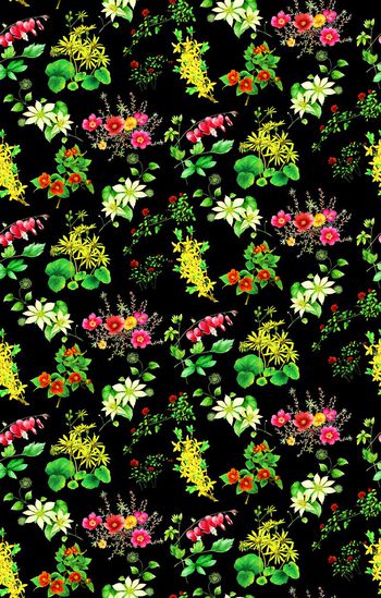 558547-手绘花花朵女装匹布