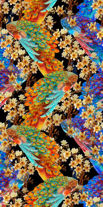 558582-凤凰孔雀花朵