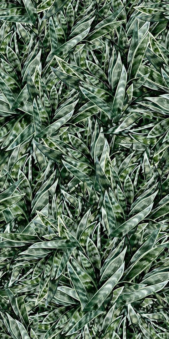 大牌印花华亿平台图片