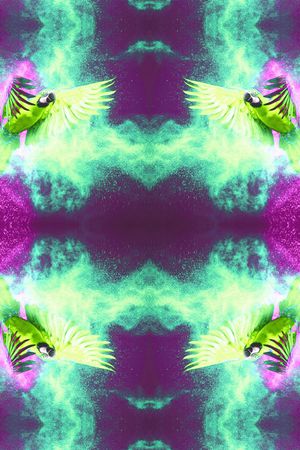 时尚印花华亿平台图片