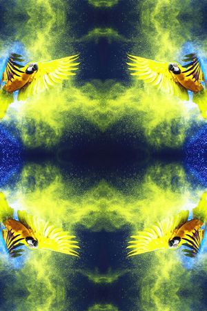 时尚印花华亿平台图片