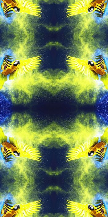 558731-时尚 动物 油画 服装