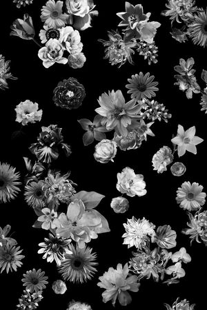 纯色底印花华亿平台图片