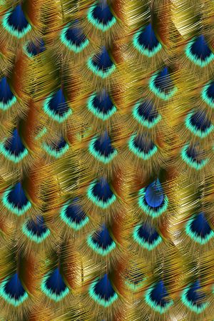 卡通印花华亿平台图片