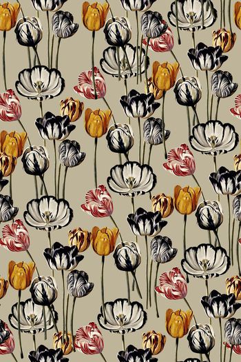 558895-最新原创时尚潮流 玫瑰花 黄蔷薇花