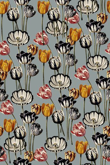 558905-最新原创时尚潮流 玫瑰花 黄蔷薇花