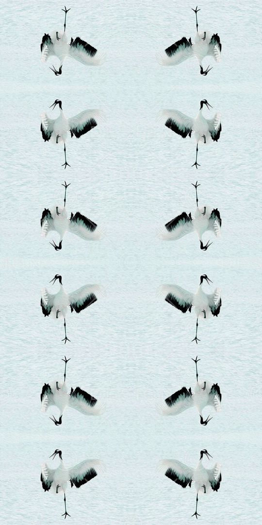 时尚印花华亿平台图片