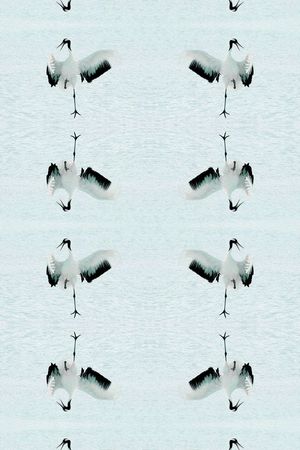 时尚印花华亿平台图片