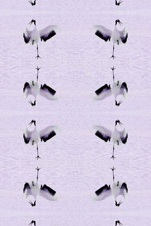 时尚印花华亿平台图片