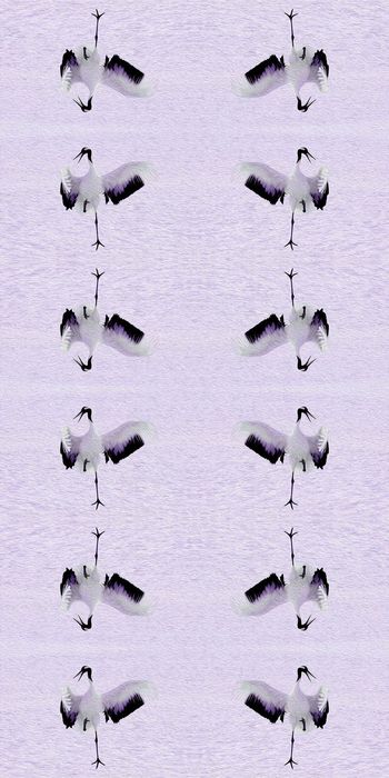 559140-时尚 动物 油画 服装