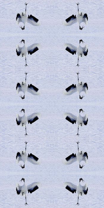 559141-时尚 动物 油画 服装