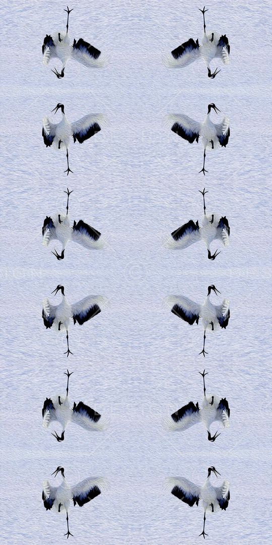 时尚印花华亿平台图片