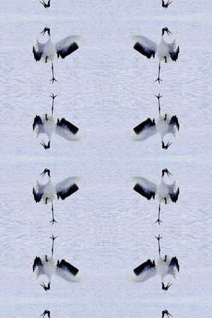 时尚印花华亿平台图片