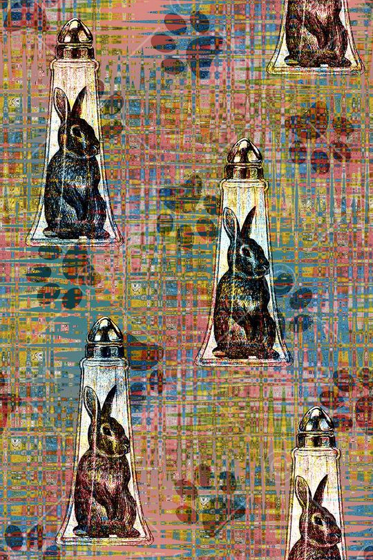 兔子印花华亿平台图片