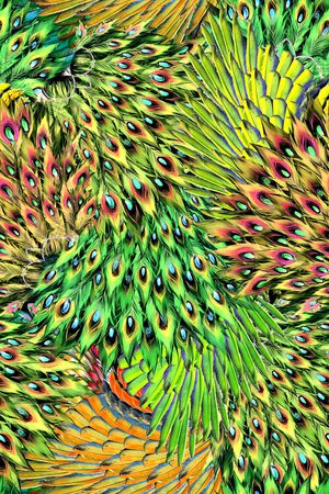 时尚印花华亿平台图片