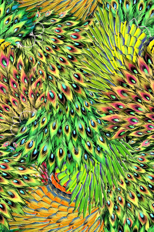 时尚印花华亿平台图片