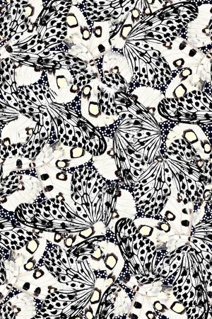 蝴蝶印花华亿平台图片