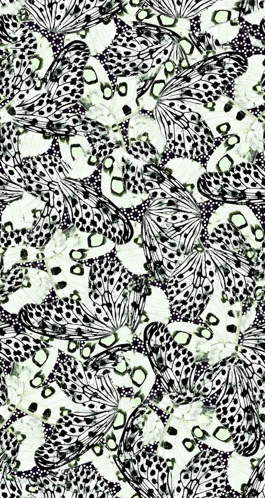 蝴蝶印花华亿平台图片