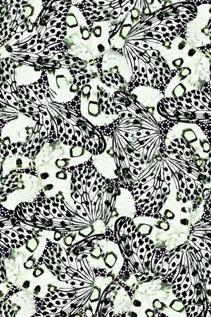 蝴蝶印花华亿平台图片