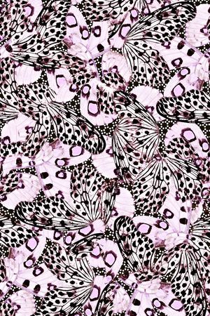 蝴蝶印花华亿平台图片