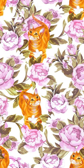 559390-猫花卉花朵