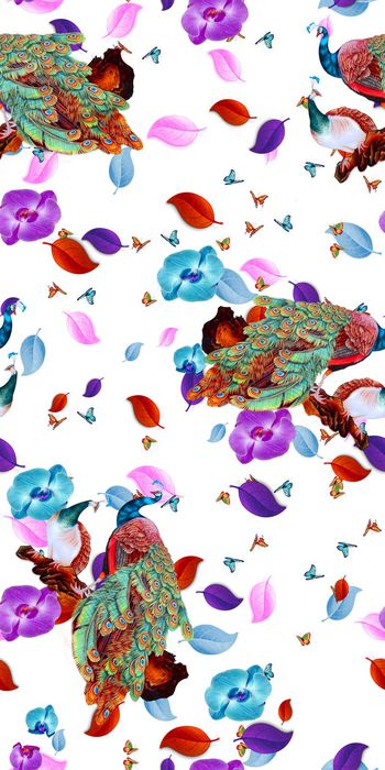 559393-花朵花卉孔雀