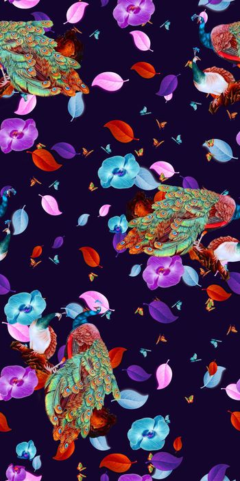 559394-花朵花卉孔雀