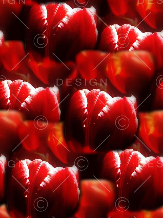 潮流印花华亿平台图片