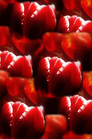 潮流印花华亿平台图片