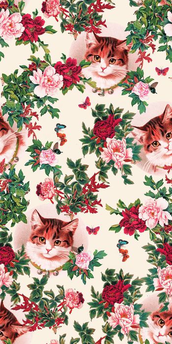 559522-原创猫咪牡丹花中国画