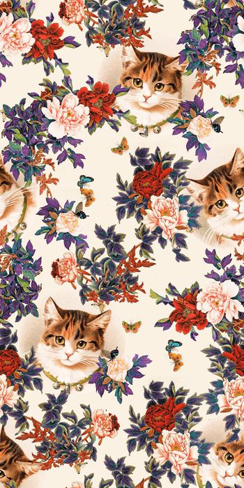 559523-猫咪牡丹花中国画