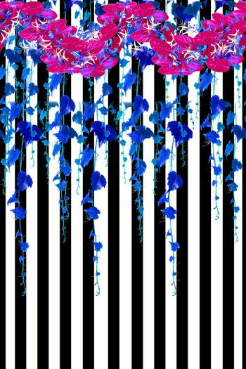 559616-流行时尚  定位 印花