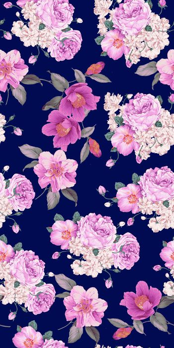 559685-花卉山茶花牡丹花