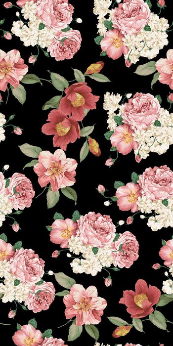 559686-花卉山茶花牡丹花