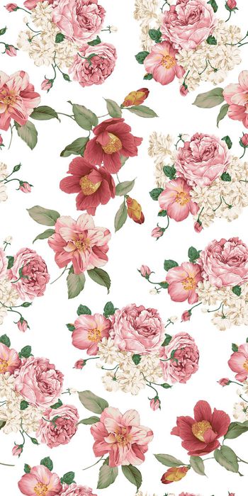 559687-花卉山茶花牡丹花