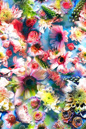 时尚印花华亿平台图片