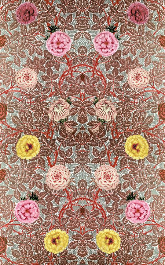 时尚印花华亿平台图片