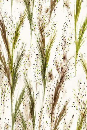 休闲时尚 活泼印花华亿平台图片