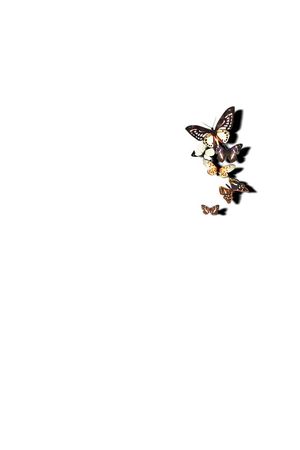 amazing peace印花华亿平台图片